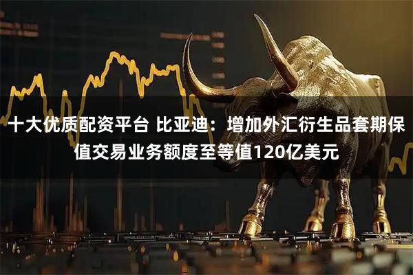 十大优质配资平台 比亚迪：增加外汇衍生品套期保值交易业务额度至等值120亿美元